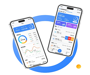 大连苹果APP定制企业数字化电商系统让我们携手共建数字化未来【 低价疯抢，质量保证！】